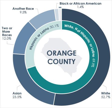 Older Adult Diversity chart